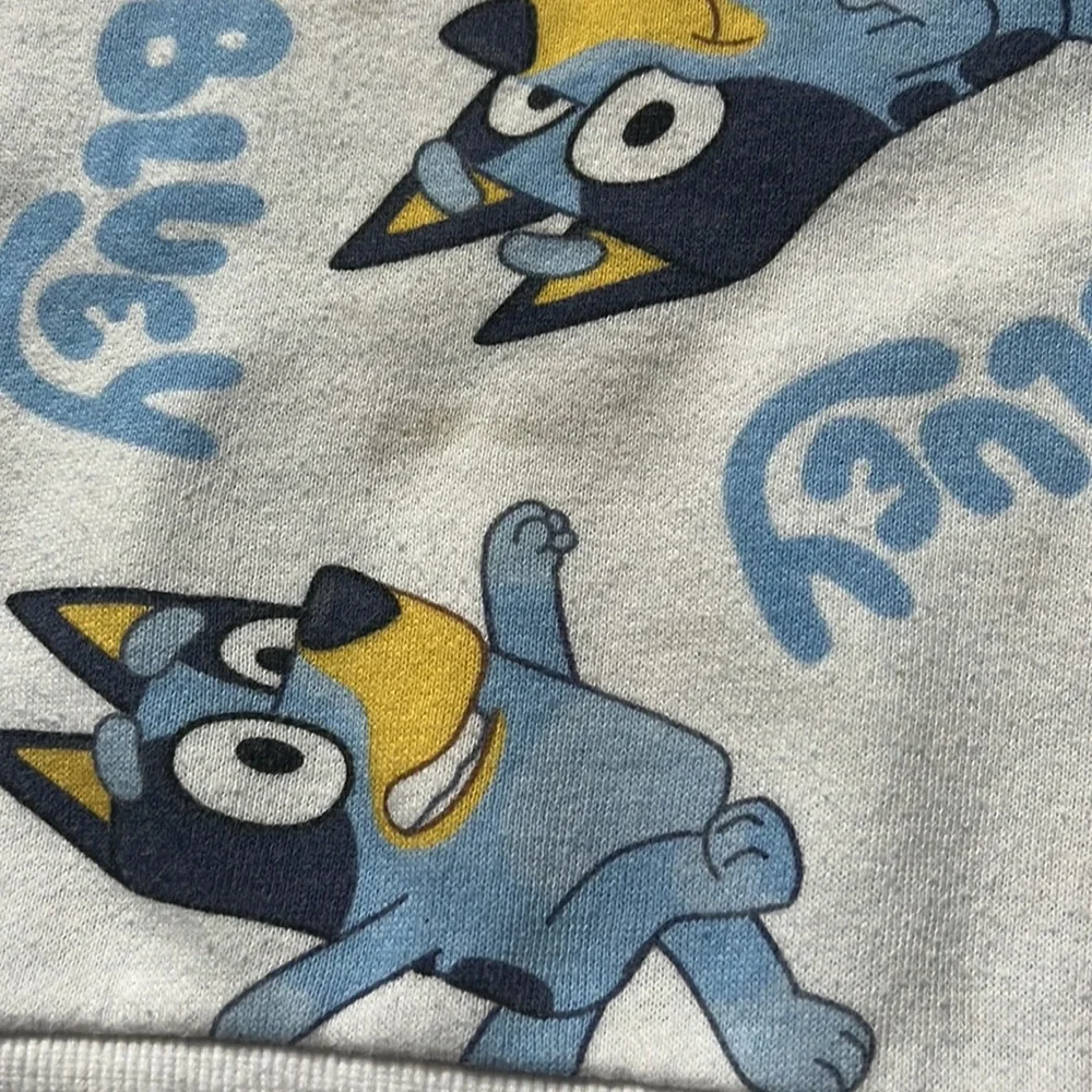 Bluey Crew Neck Sweatshirt